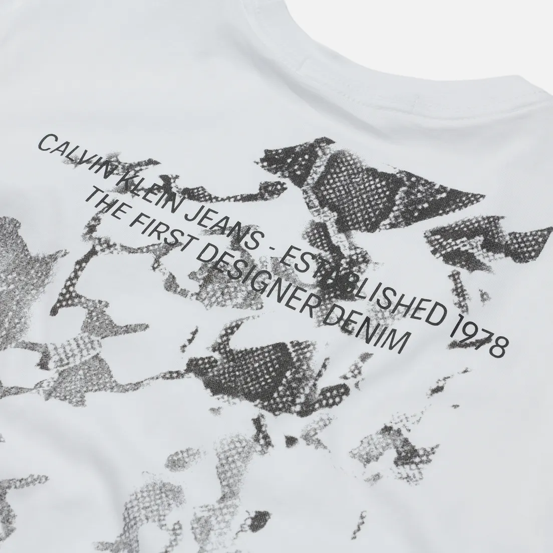 Calvin Klein Jeans Мужская футболка Reptile Back Graphic