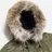 Spiewak Golden Fleece