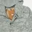 Spiewak Golden Fleece