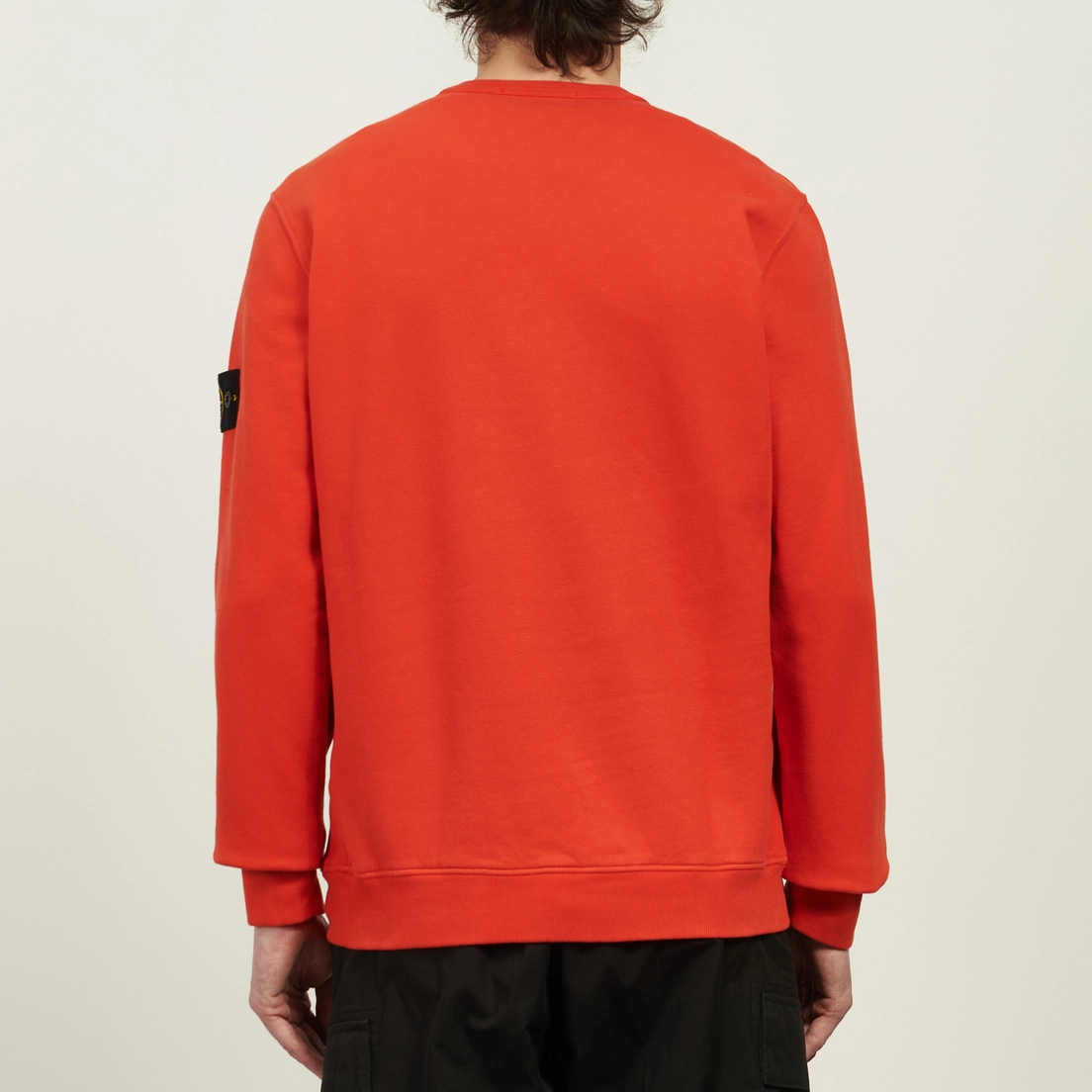 Stone Island Мужская толстовка Brushed Organic Cotton Fleece Regular