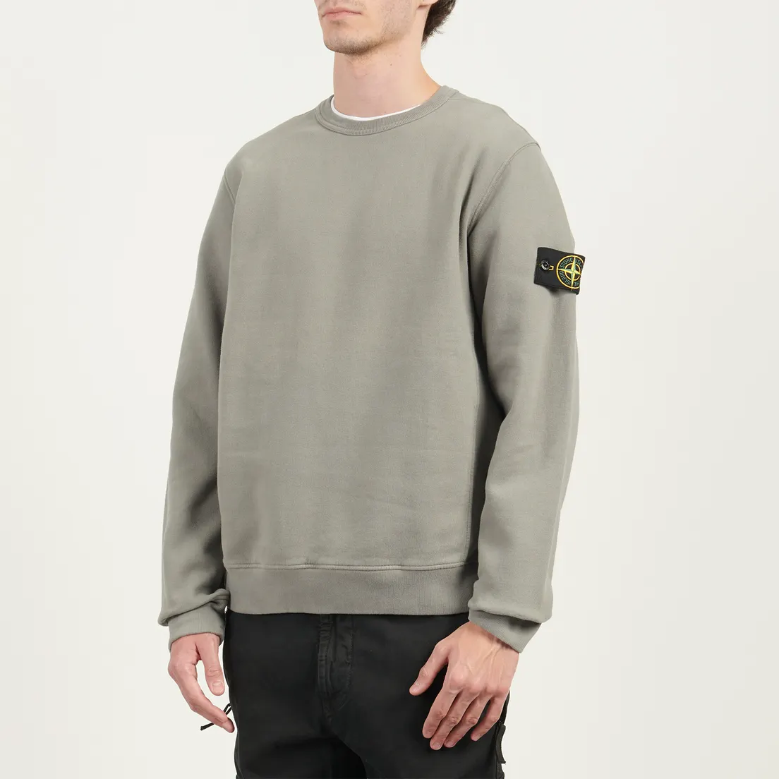 Stone Island Мужская толстовка Brushed Organic Cotton Fleece Regular