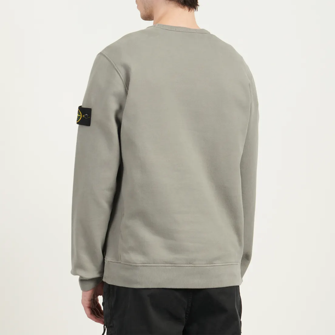 Stone Island Мужская толстовка Brushed Organic Cotton Fleece Regular