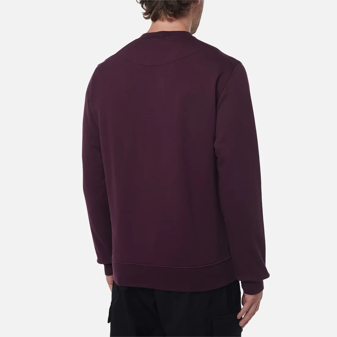 Stone Island Мужская толстовка Organic Cotton Fleece Regular