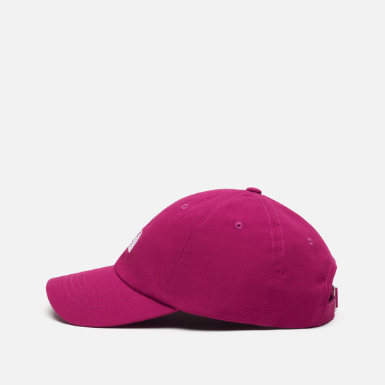 Кепка The North Face The Norm Wild Aster Purple