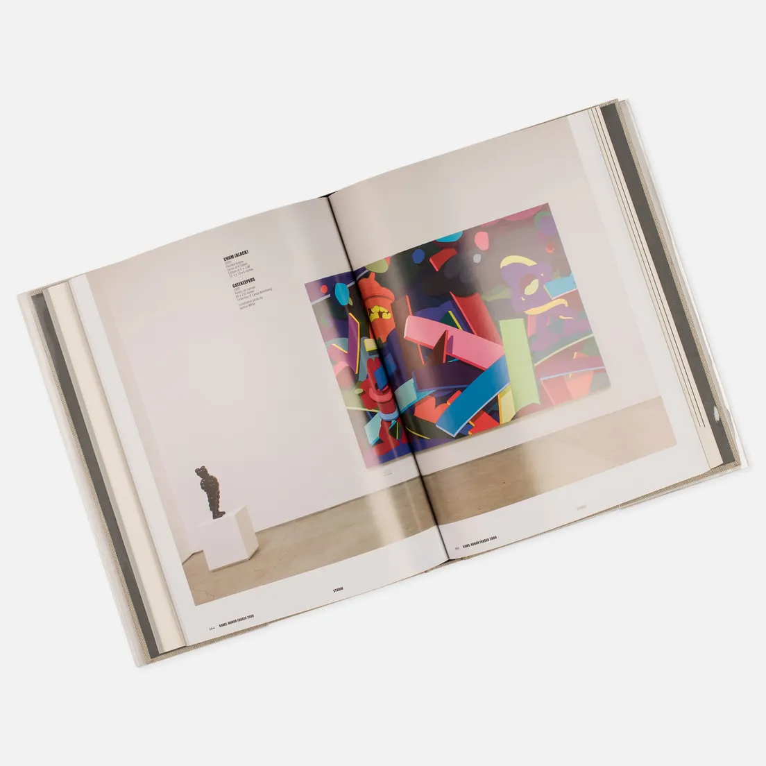 Rizzoli Книга Kaws