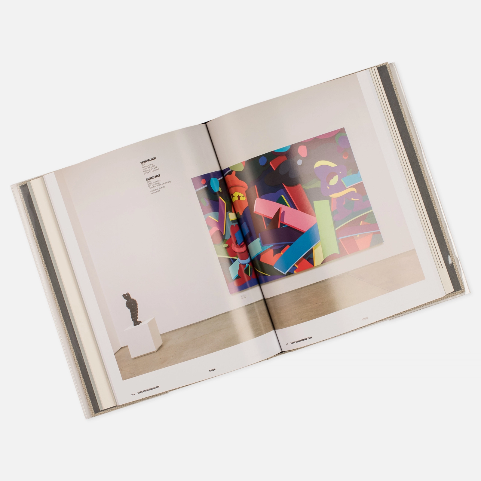 kniga-rizzoli-kaws-256-pgs-