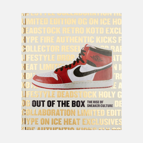 nike dunk high nike book