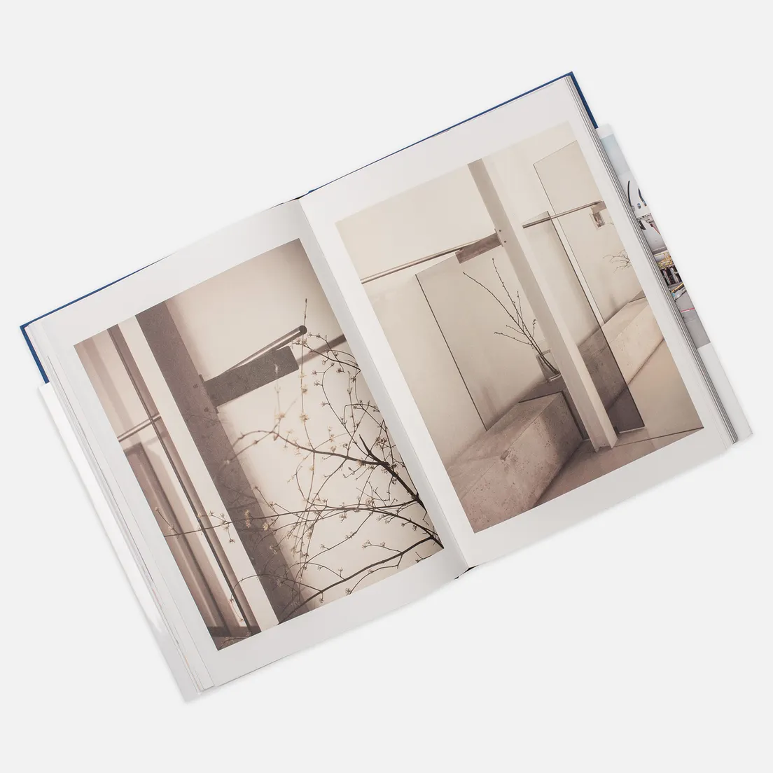 Rizzoli Книга When Etudes Become Form