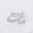 Nike SB