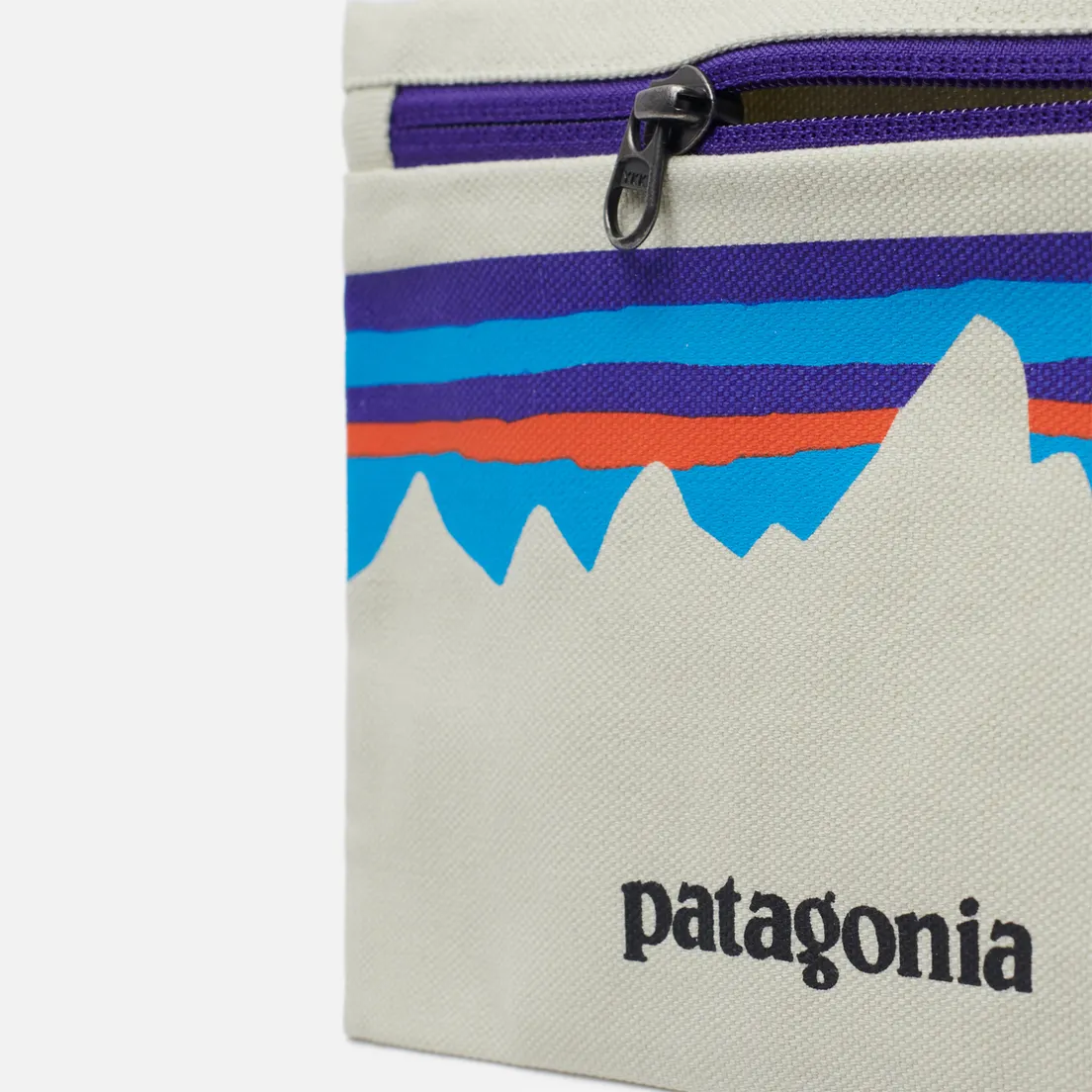 Patagonia Косметичка P-6 Fitz Roy Zippered
