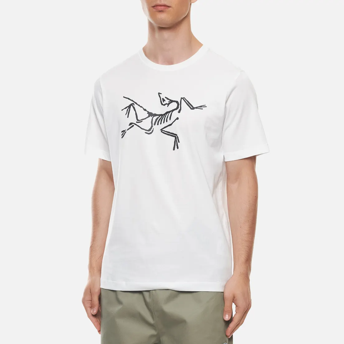 Arcteryx Мужская футболка Archaeopteryx SS