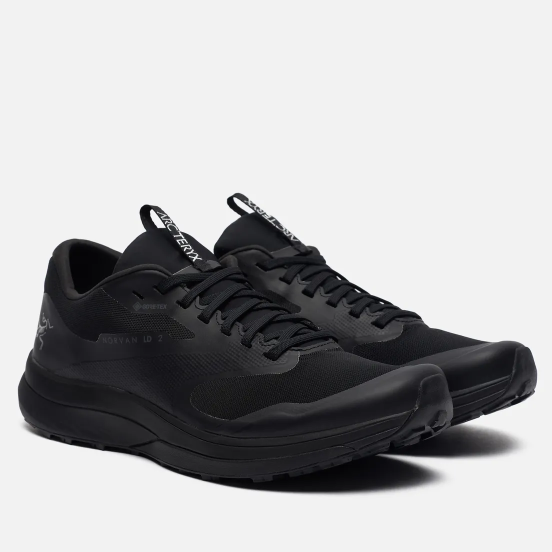 Arcteryx Мужские кроссовки Norvan LD 2 Gore-Tex