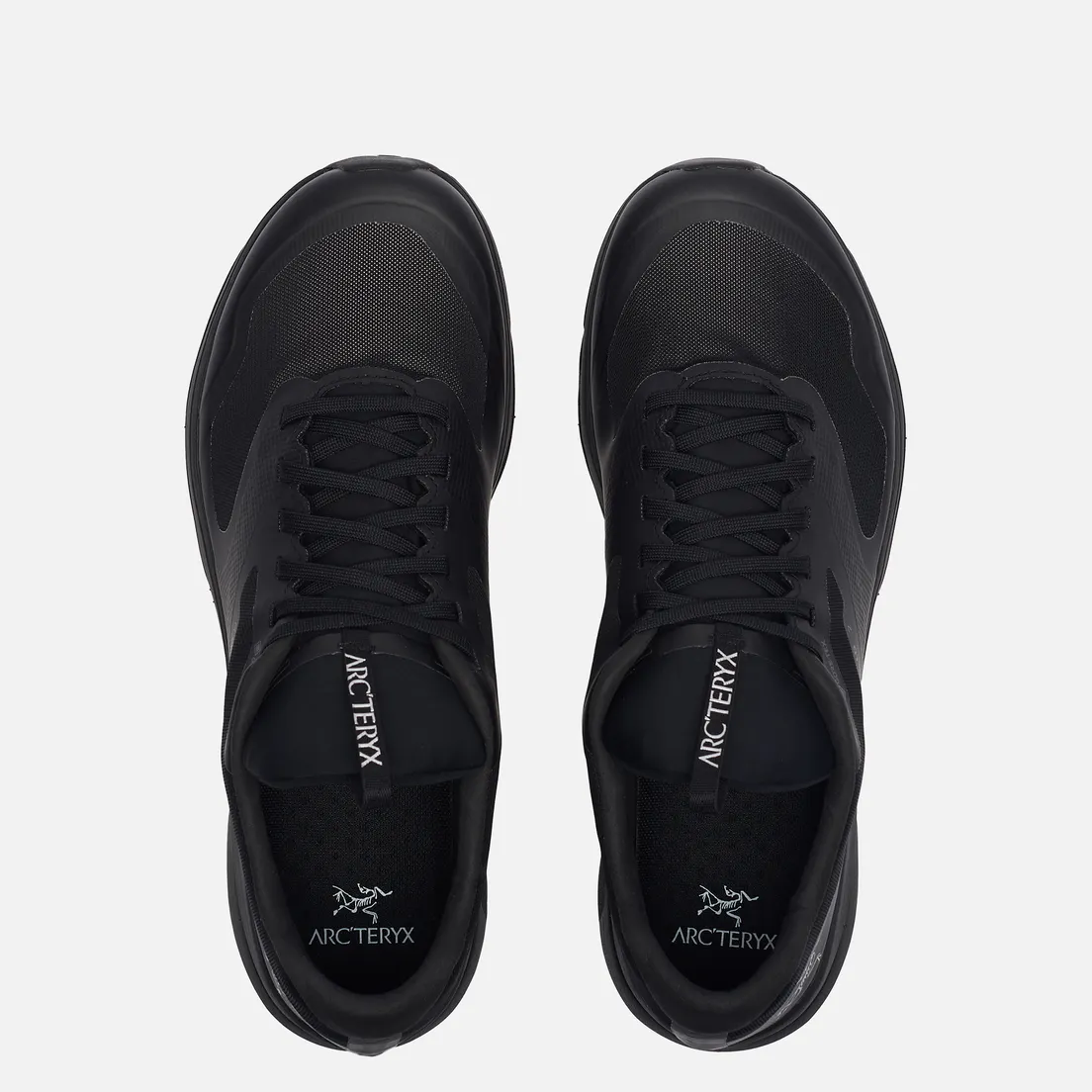 Arcteryx Мужские кроссовки Norvan LD 2 Gore-Tex