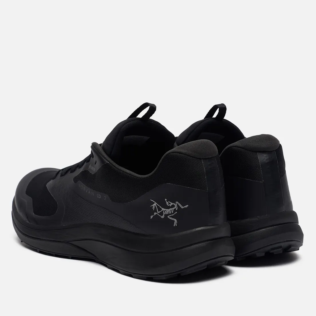 Arcteryx Мужские кроссовки Norvan LD 2 Gore-Tex