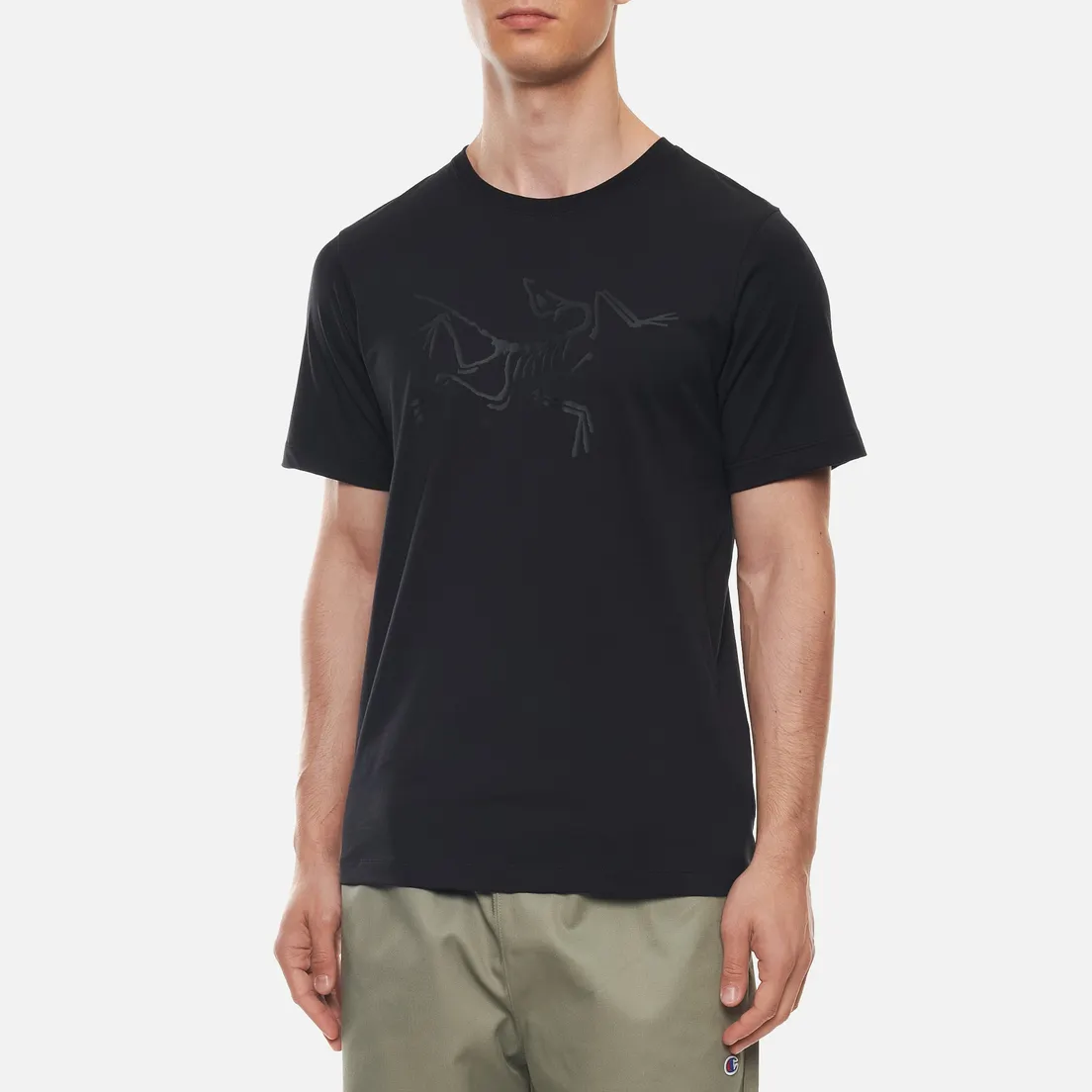 Arcteryx Мужская футболка Archaeopteryx SS