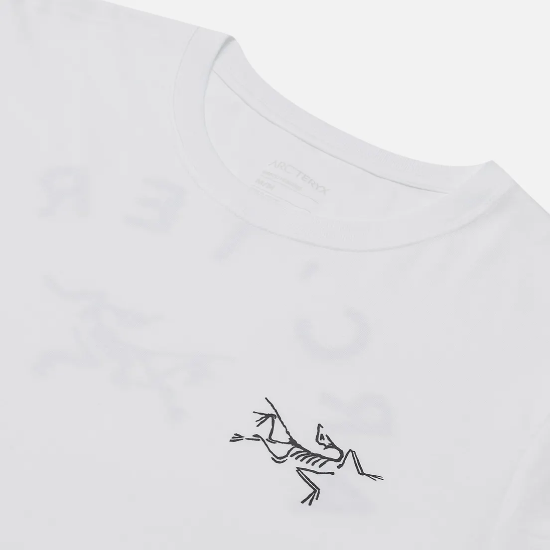 Arcteryx Мужской лонгслив Archaeopteryx LS