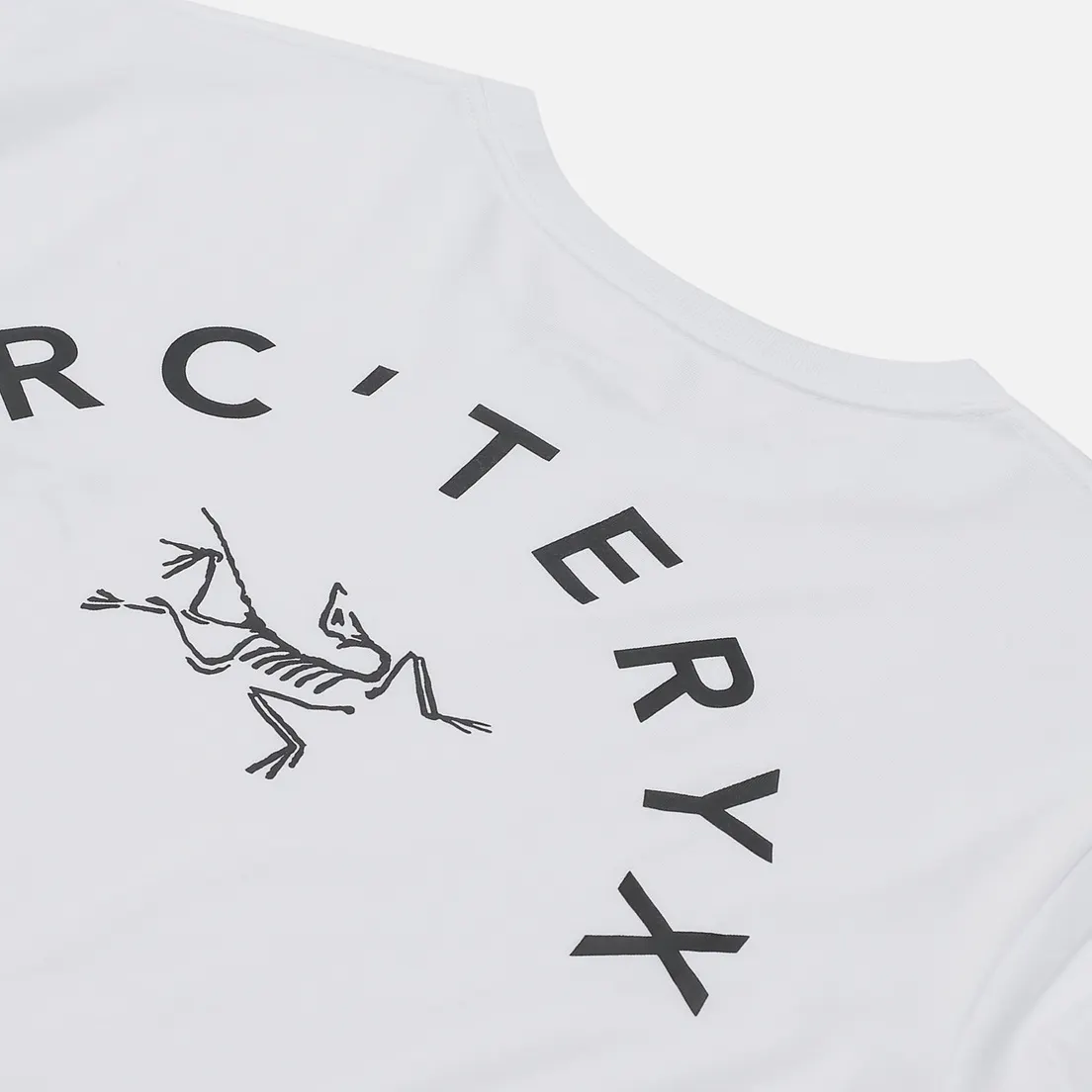 Arcteryx Мужской лонгслив Archaeopteryx LS