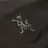 Arcteryx