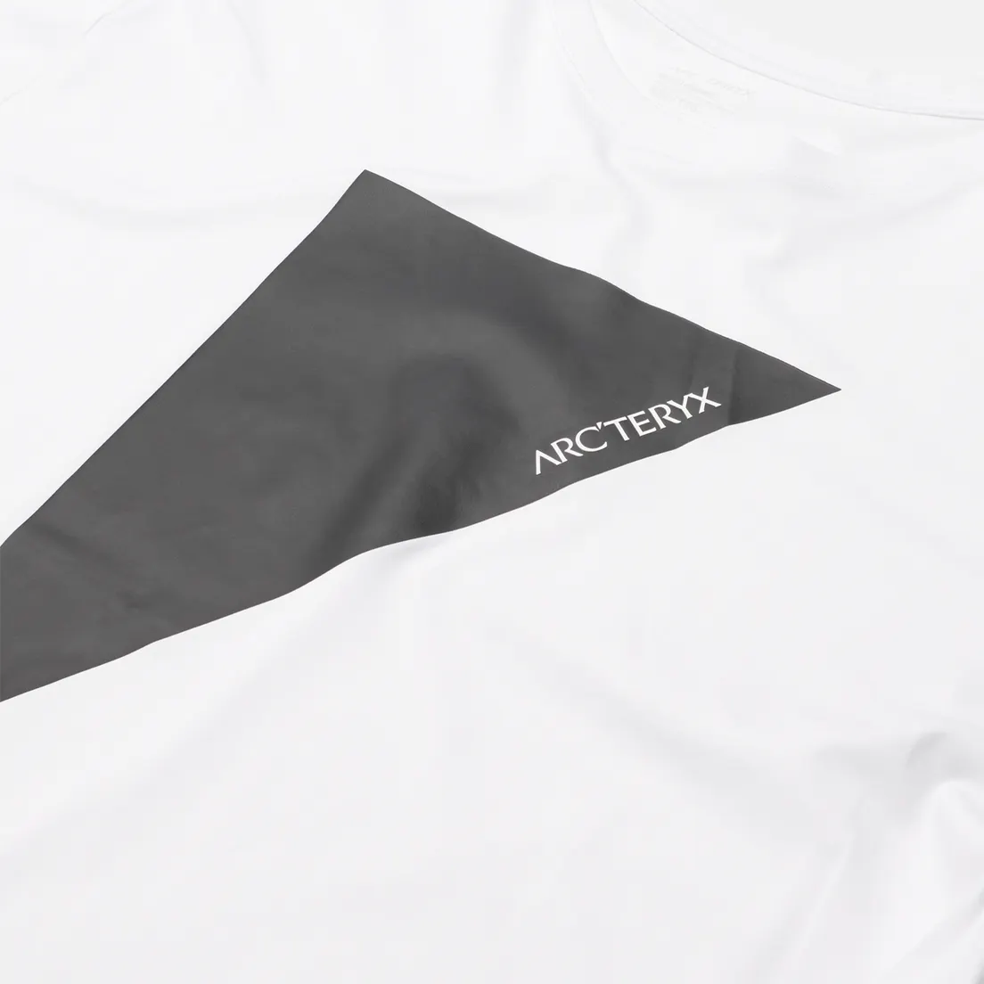 Arcteryx Мужская футболка Arc'Postrophe Word