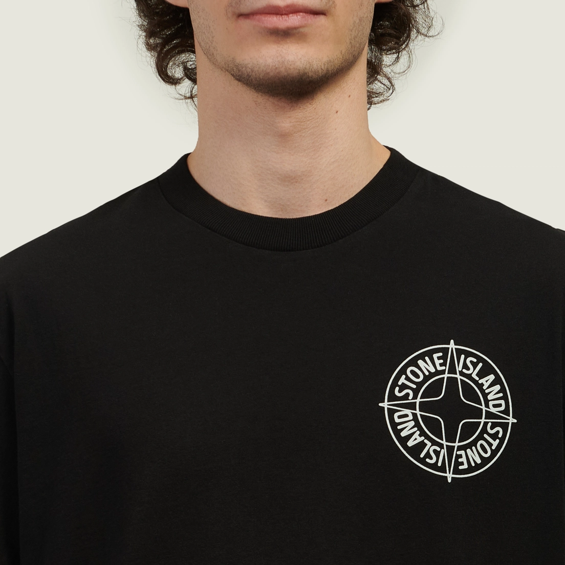 Stone Island Мужская футболка Organic Cotton Jersey Outline Compass