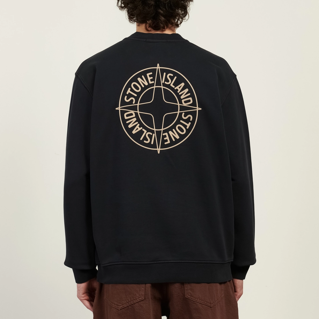 Stone Island Мужская толстовка Cotton Fleece Raised Compass Logo Print