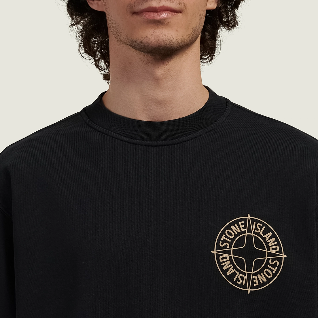 Stone Island Мужская толстовка Cotton Fleece Raised Compass Logo Print
