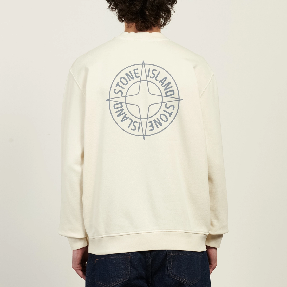 Stone Island Мужская толстовка Cotton Fleece Raised Compass Logo Print