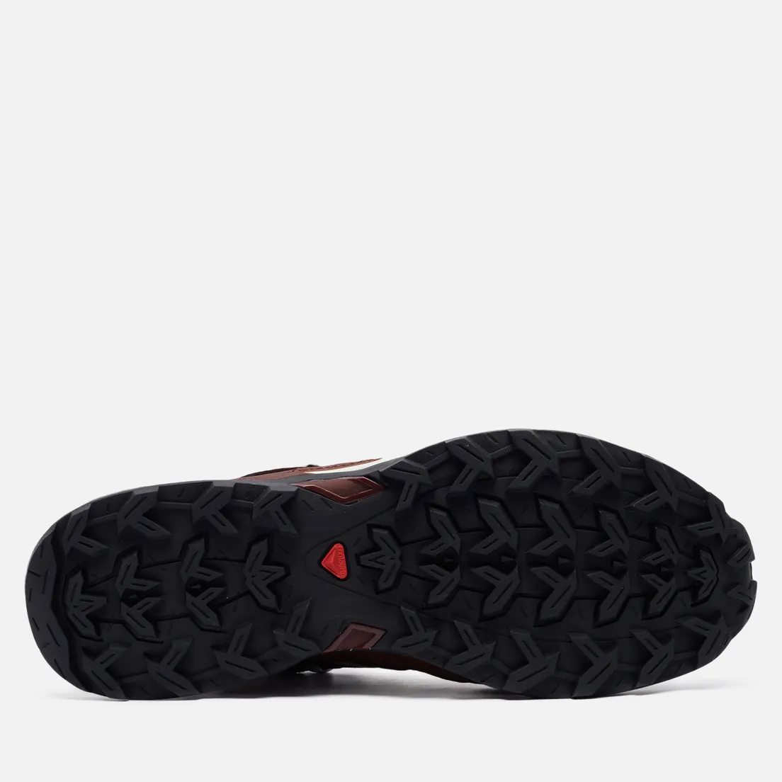 Salomon Advanced Мужские кроссовки Shelter Low LTR