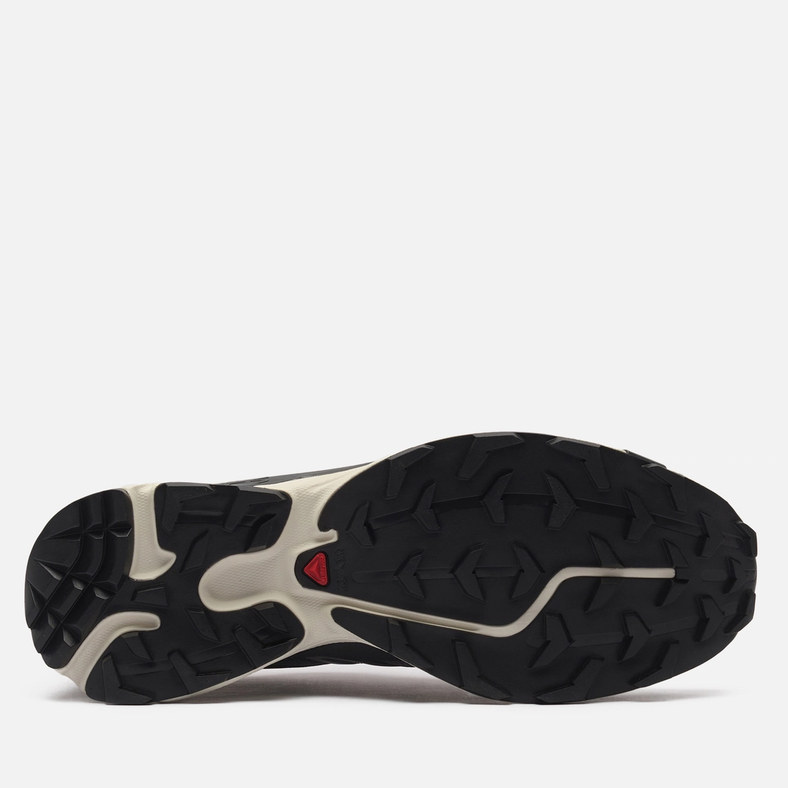 Salomon Advanced Мужские кроссовки XT-6 Expanse