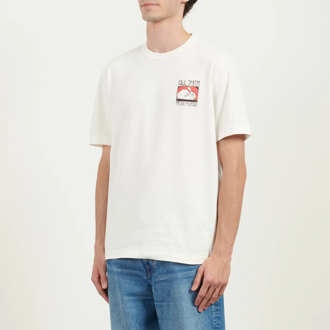 Paul Smith Мужская футболка Phoenix Mountain