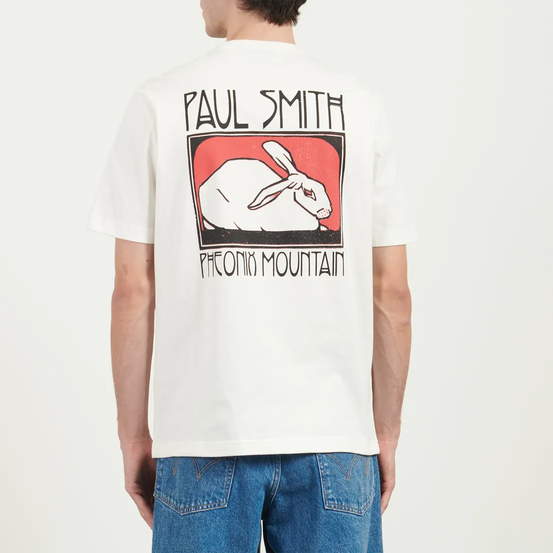 Paul Smith Мужская футболка Phoenix Mountain