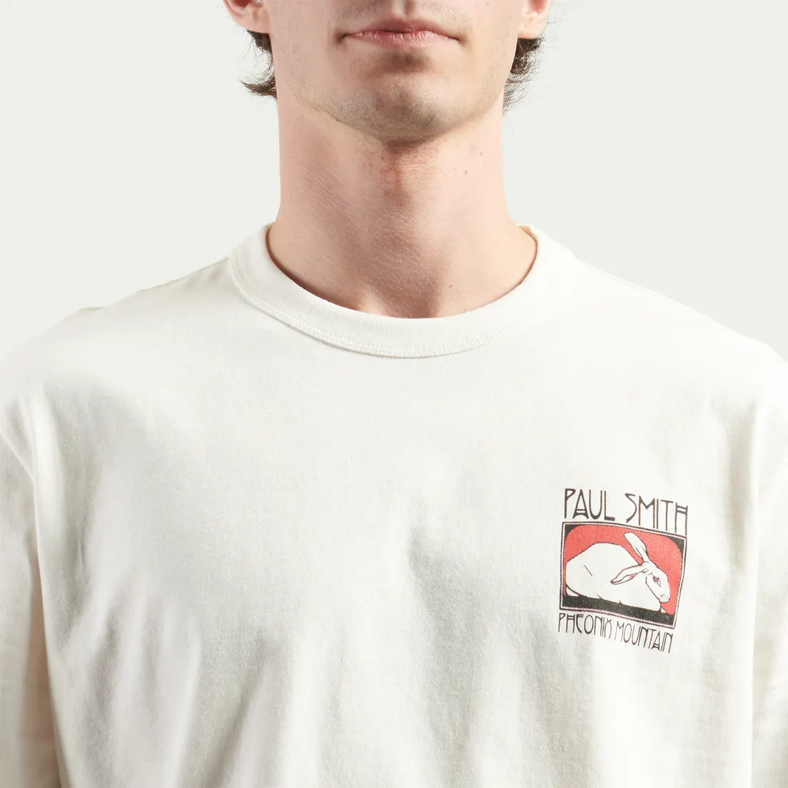 Paul Smith Мужская футболка Phoenix Mountain