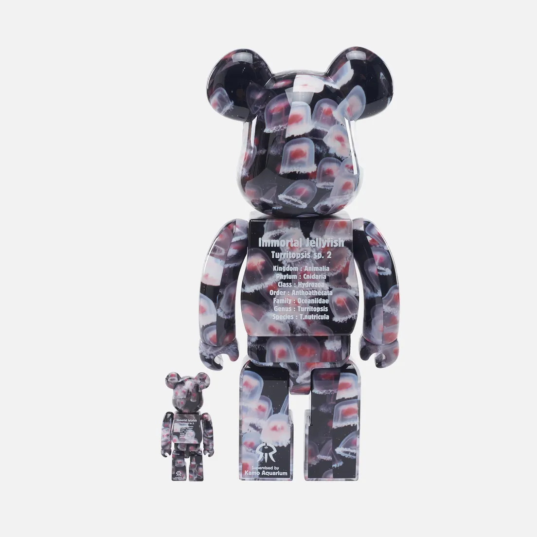 Medicom Toy Игрушка Jellyfish Beni Kurage 100% & 400%