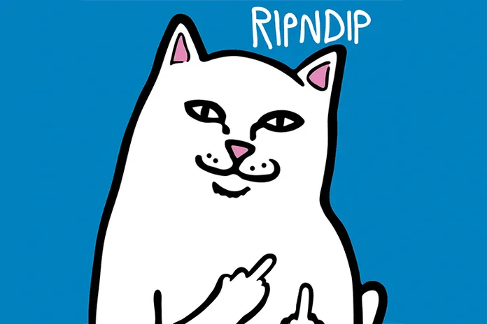 RIPNDIP: всё ради веселья