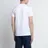 Albam