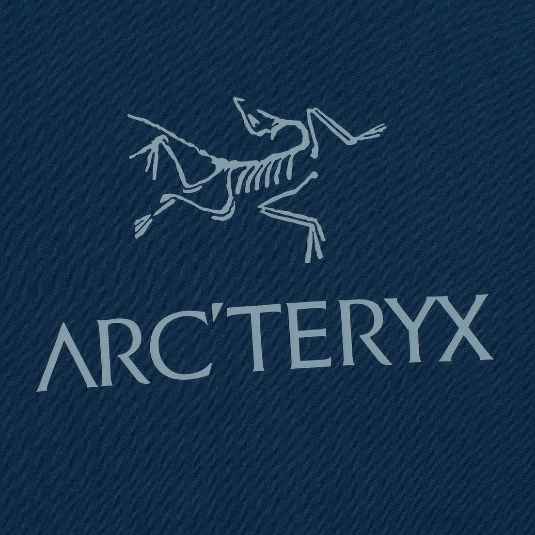 Arcteryx Мужская футболка Arc'word HW SS