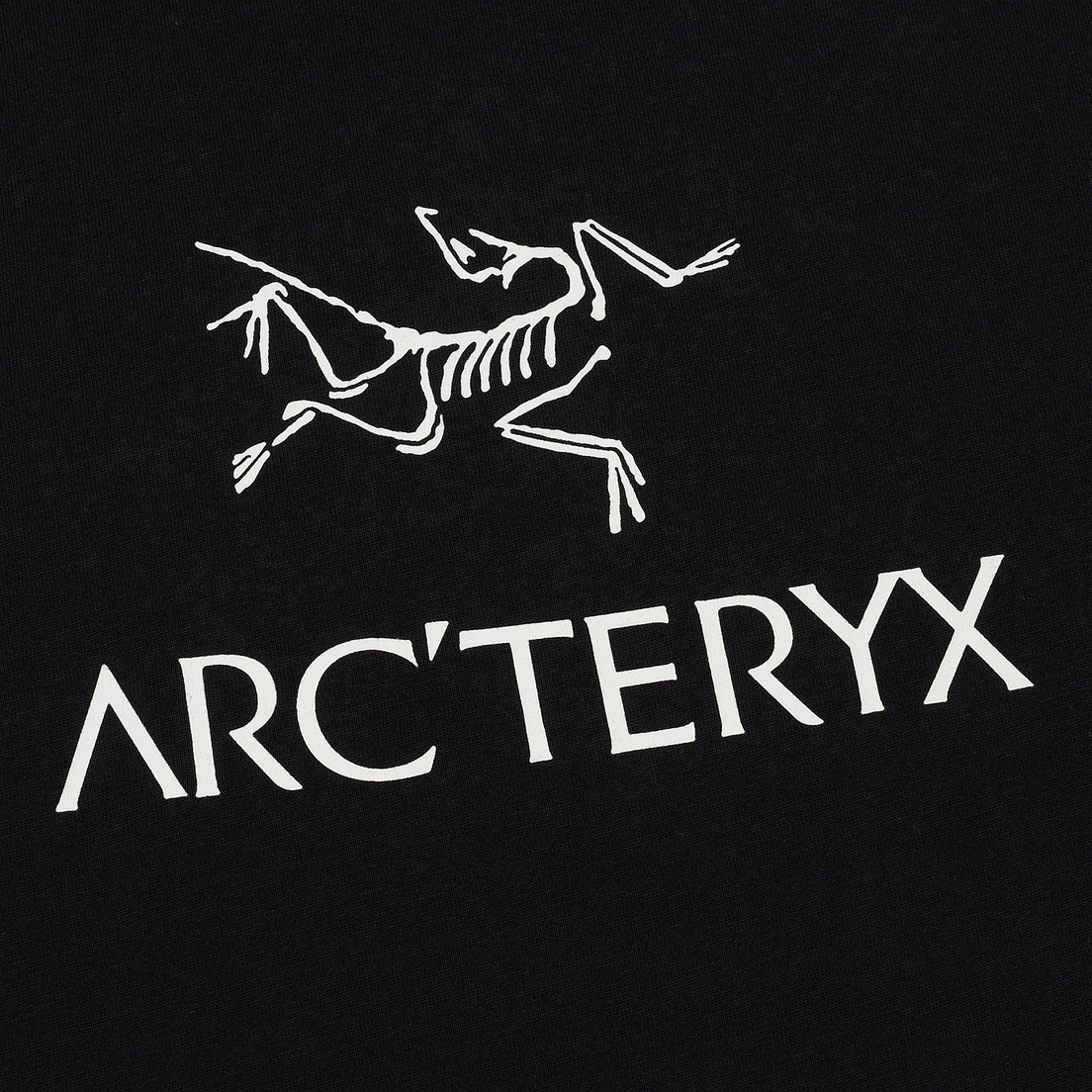 Arcteryx Мужская футболка Arc'Word SS