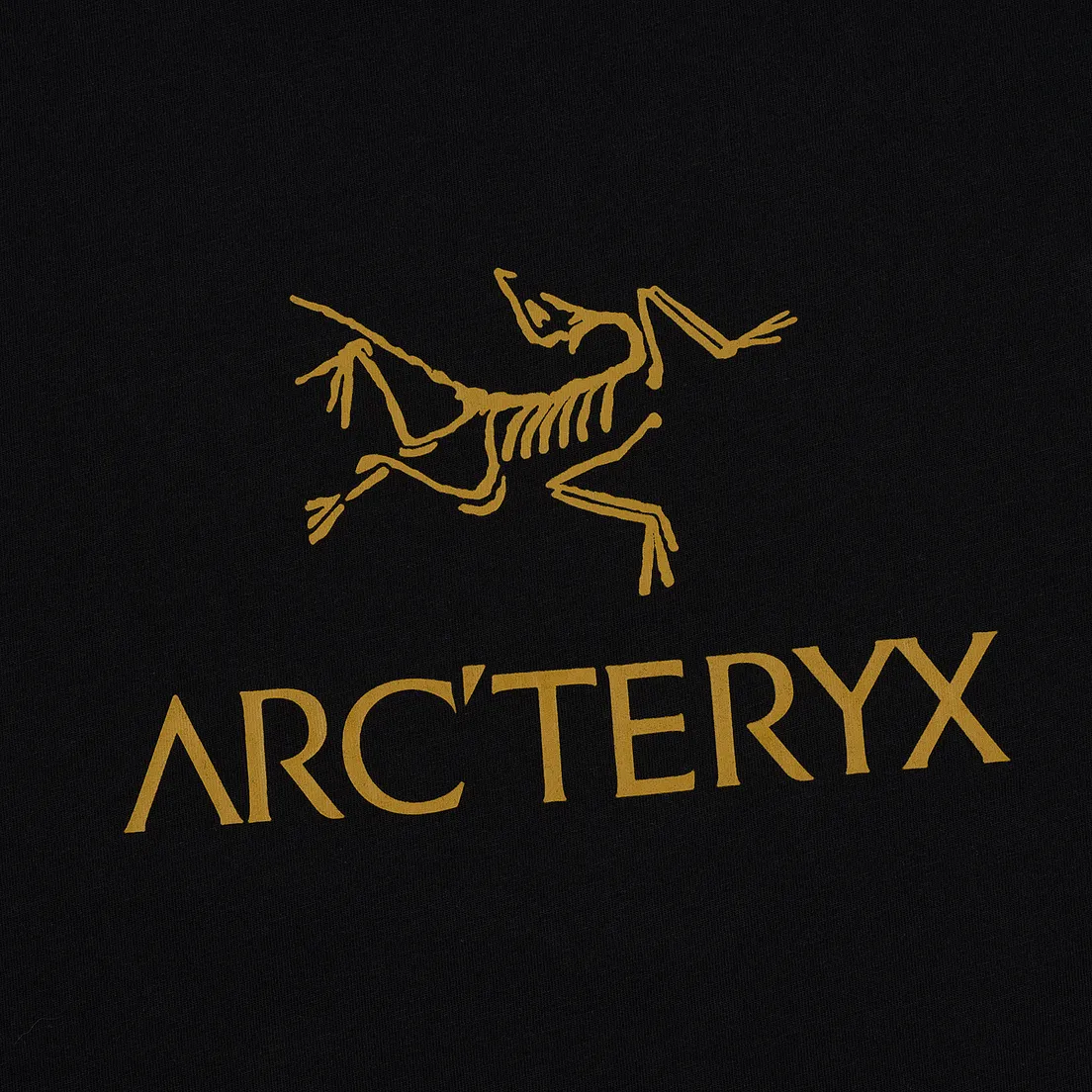 Arcteryx Мужская футболка ArcWord