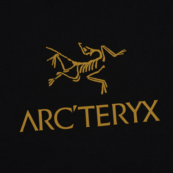Мужская футболка Arcteryx ArcWord Black