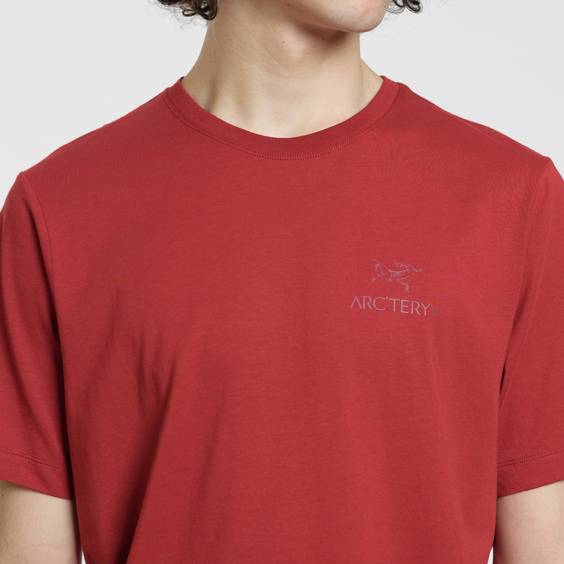 Arcteryx Мужская футболка Emblem SS