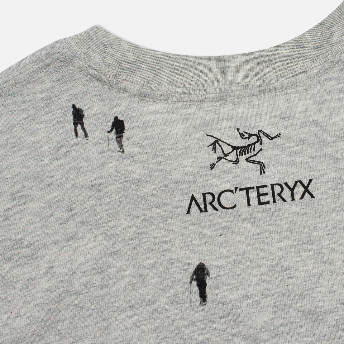Arcteryx Мужская футболка Journey Down