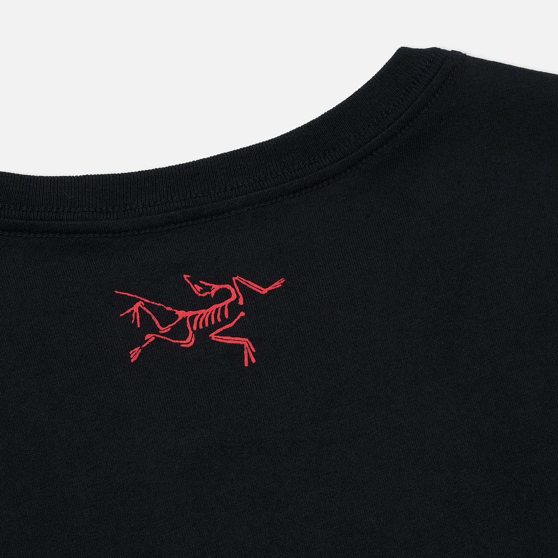 Arcteryx Мужская футболка Schematic SS
