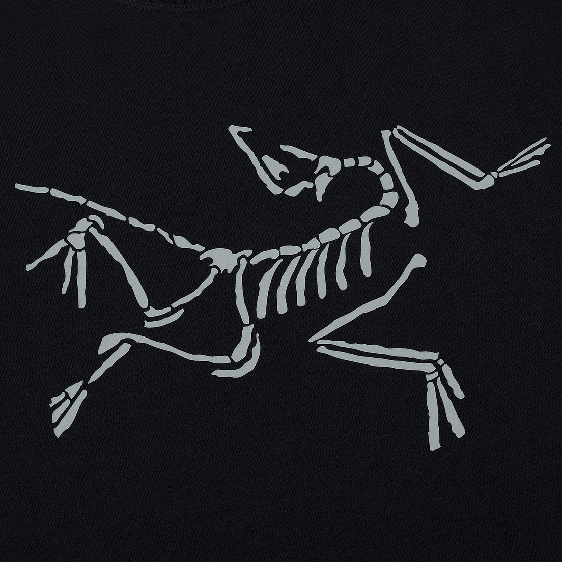 Arcteryx Мужская футболка Skeletal SS
