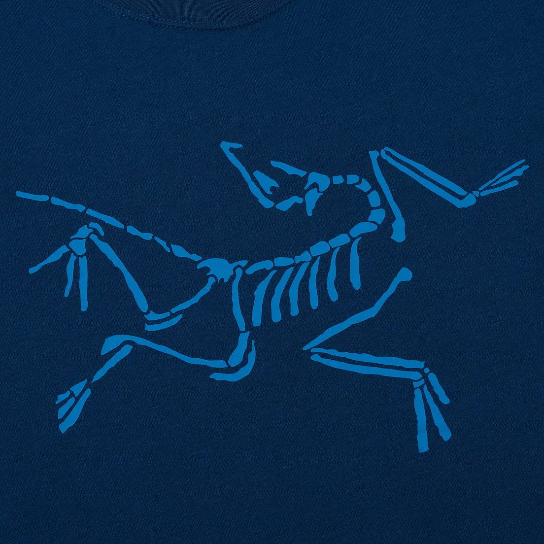Arcteryx Мужская футболка Skeletal SS