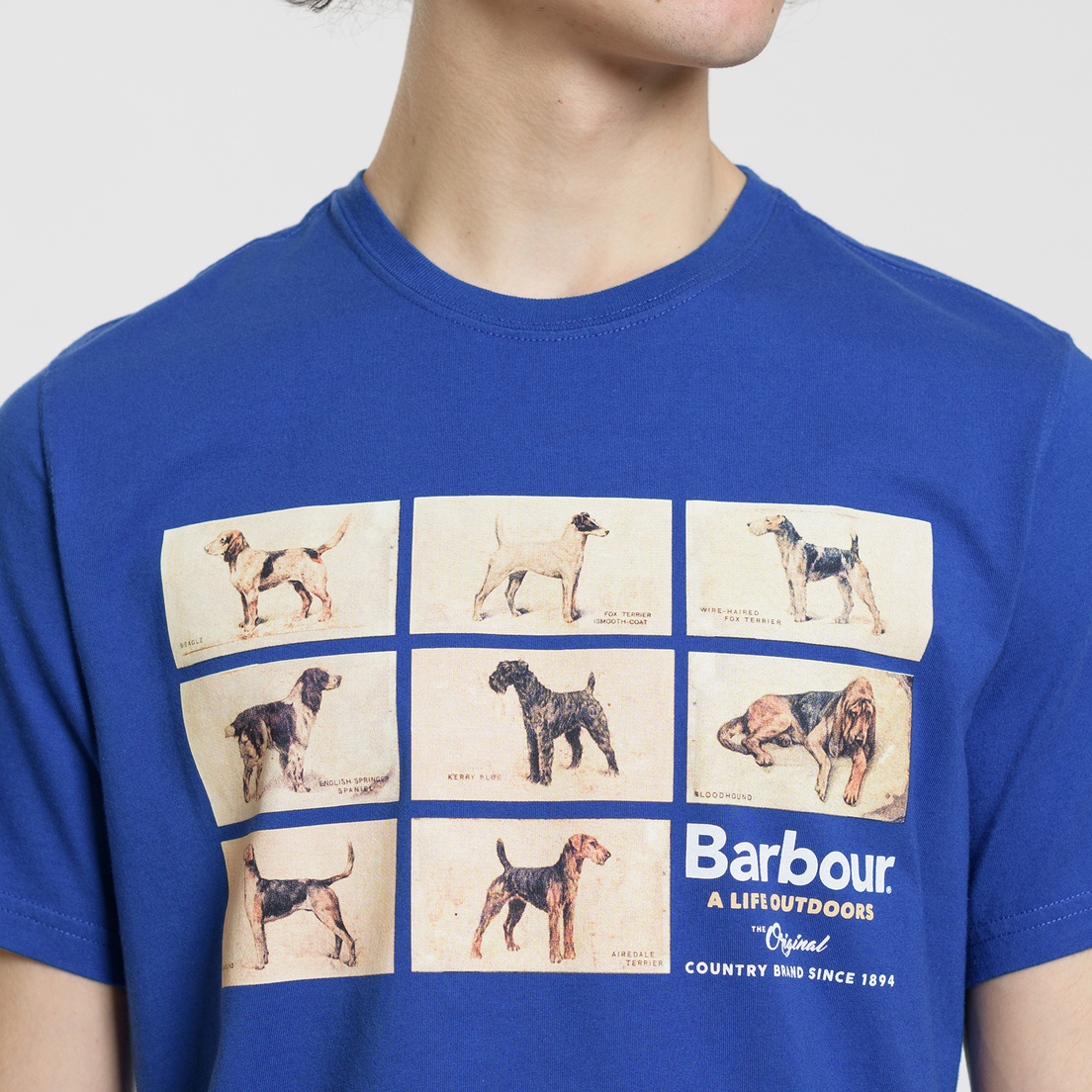 Barbour Мужская футболка Pedigree