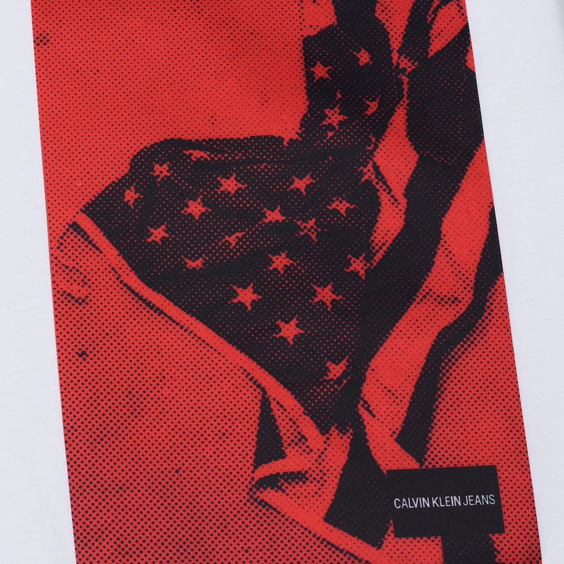Calvin Klein Jeans Мужская футболка USA Flag Printed Logo