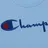 Champion Reverse Weave