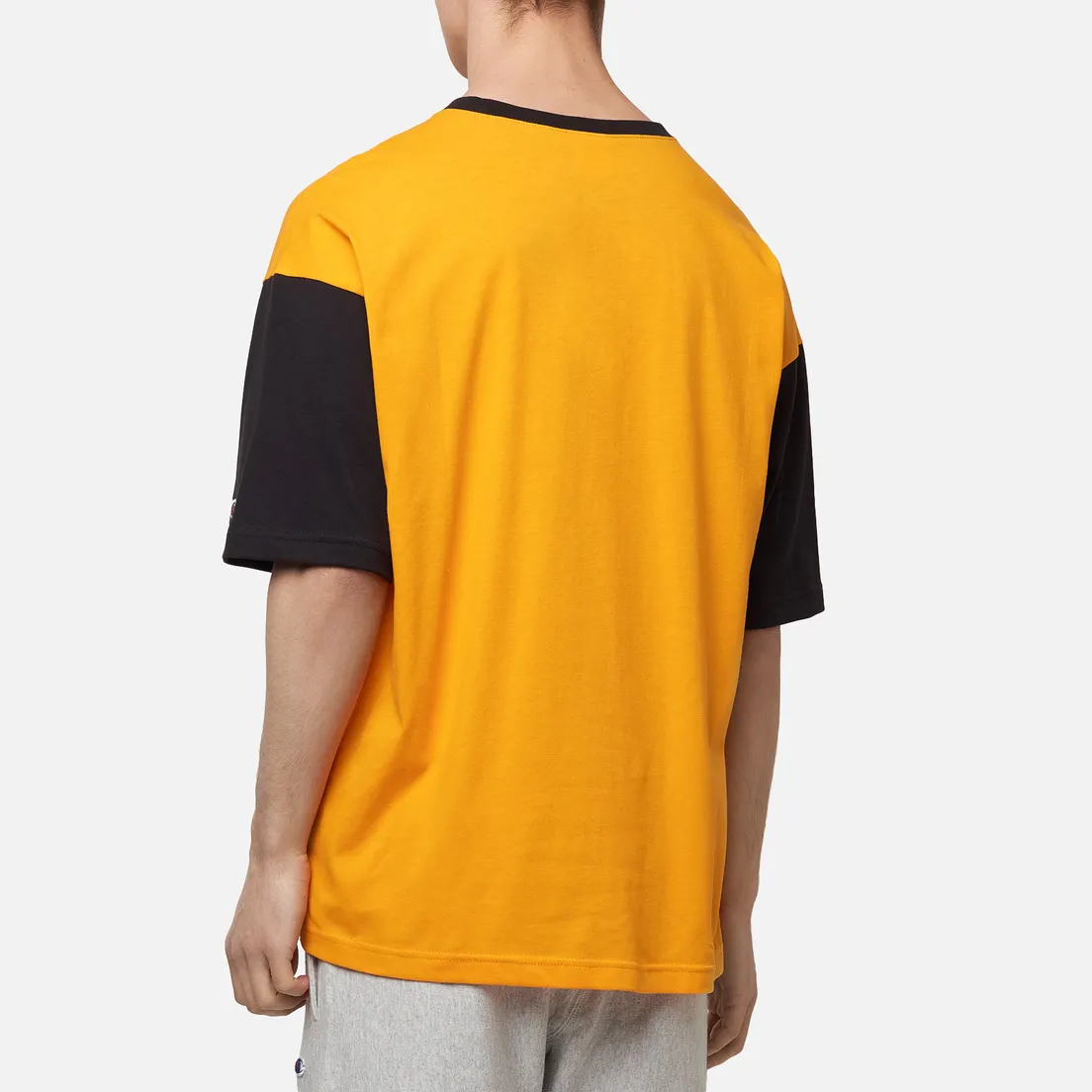 Champion Reverse Weave Мужская футболка Small Script & Logo Sleeve Bicolor