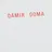 Damir Doma