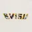 Evisu